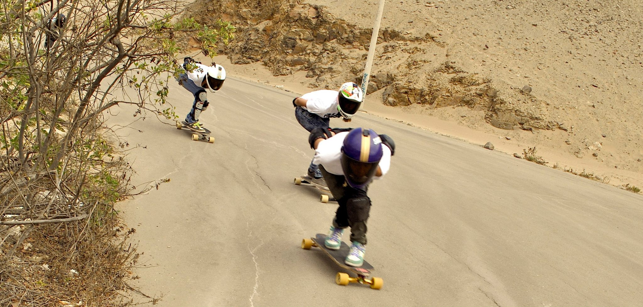 461425_10151666931636349_540918617_o