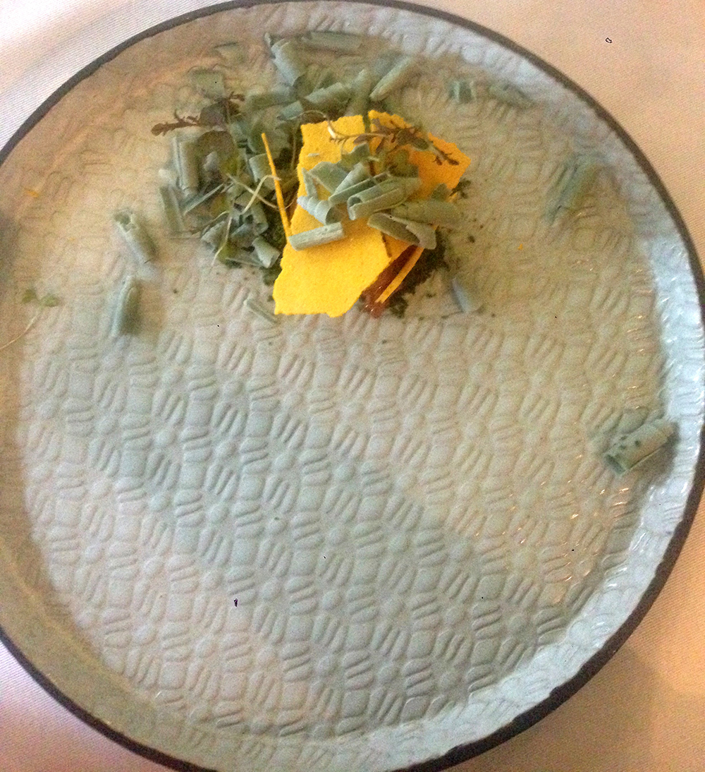 Central “Ecosistemas Mater”